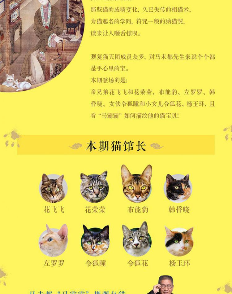 观复猫花名册图片