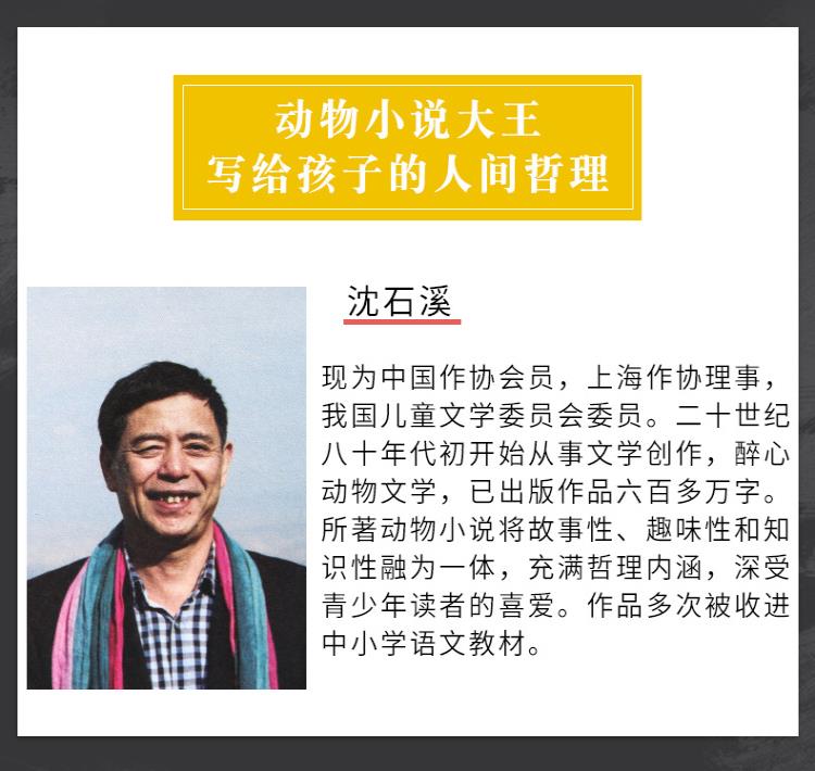 沈石溪动物小说侏罗纪龙鸟升级版沈石溪大王的书全集单本全系列品