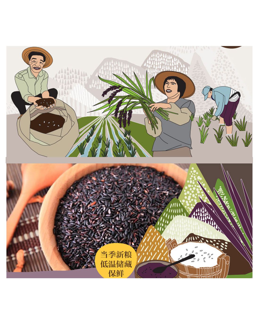 中粮初萃 五常黑米150g(4件起售)