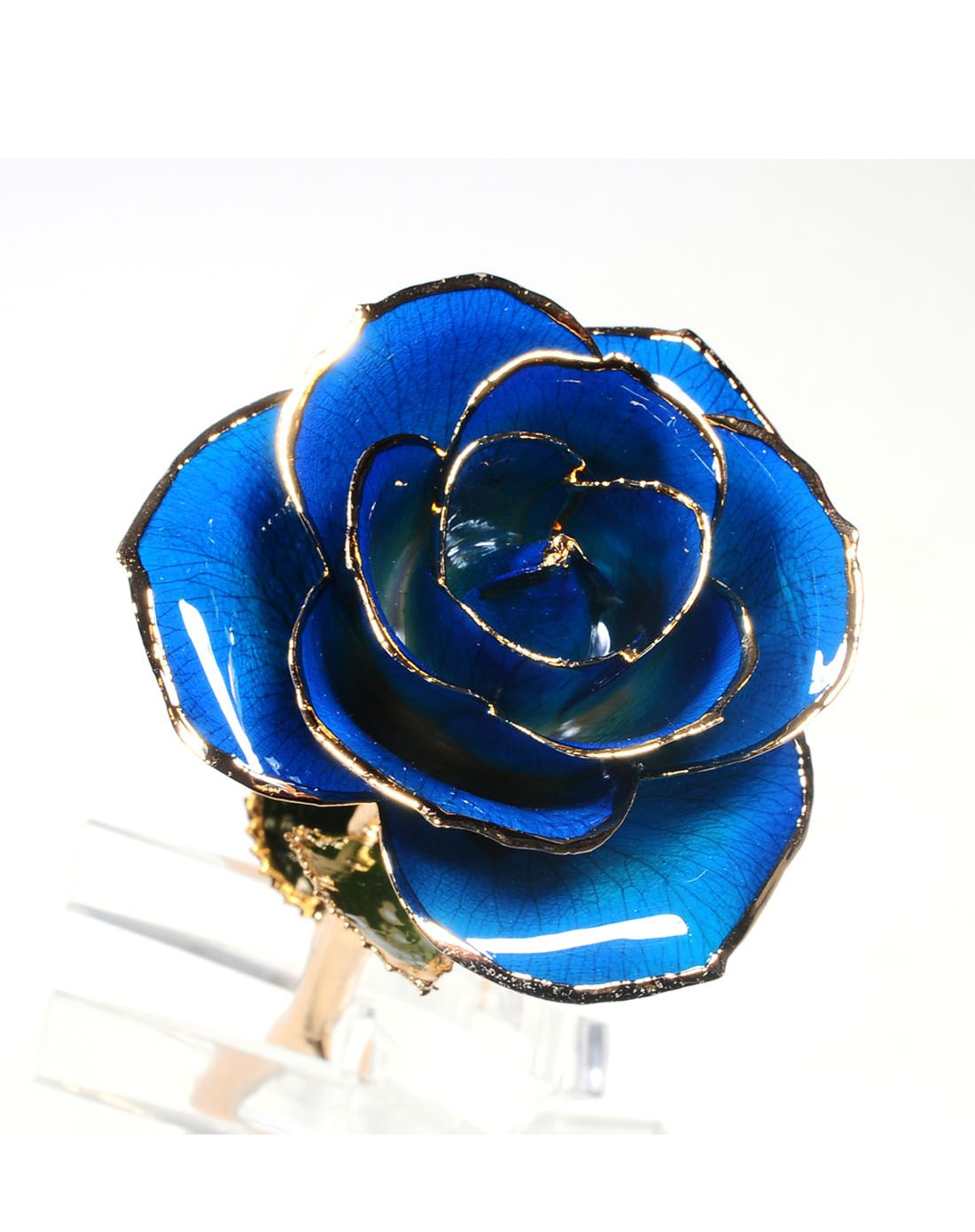 喜钻 镀金真玫瑰花真爱永恒蓝色单支