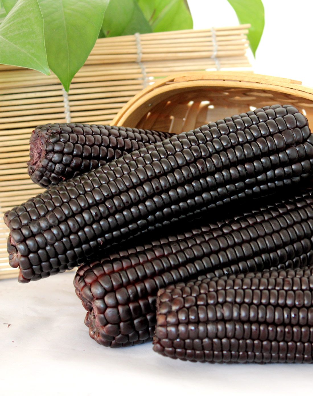 山西忻州甜糯黑玉米整箱18根