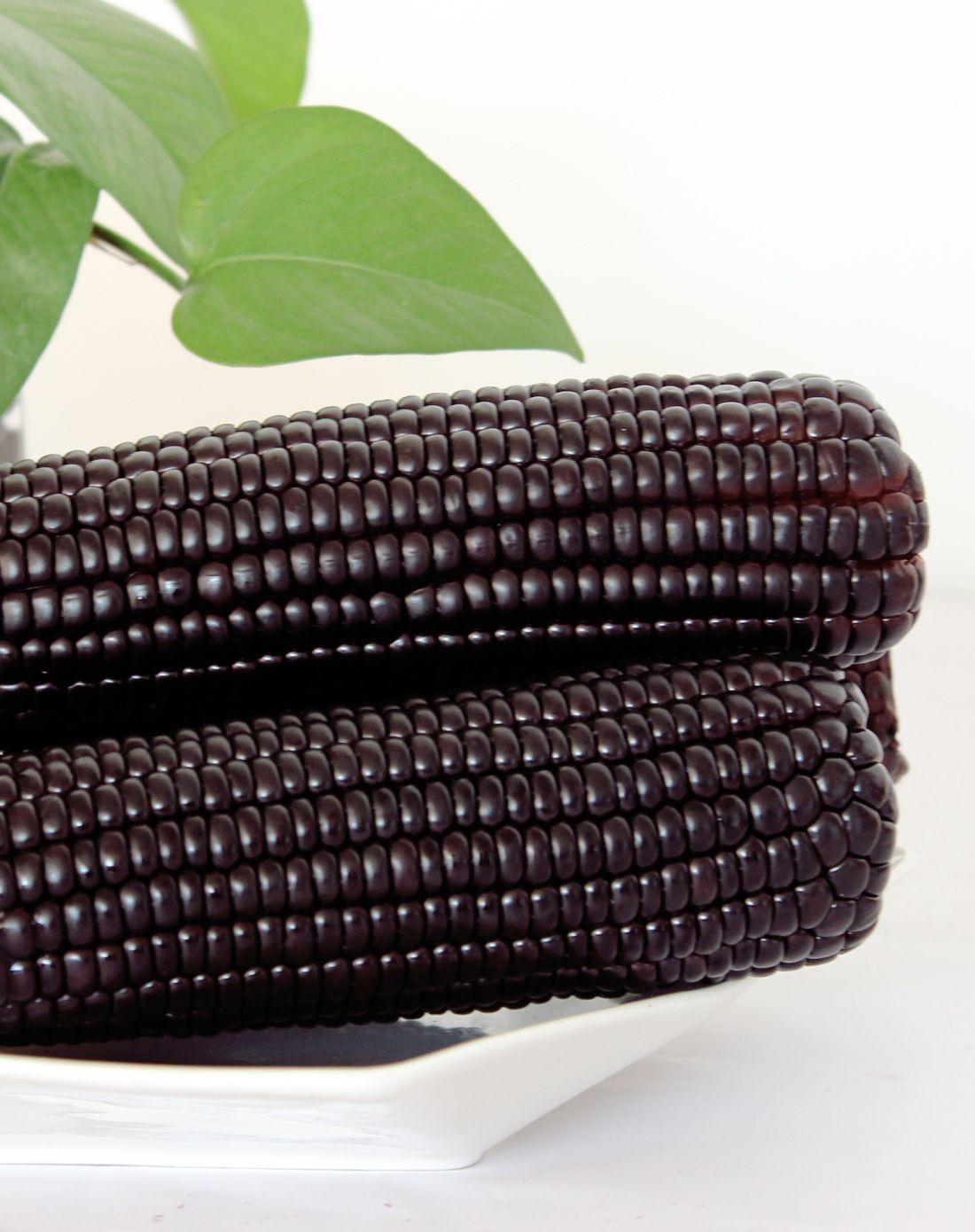 山西忻州甜糯黑玉米整箱18根