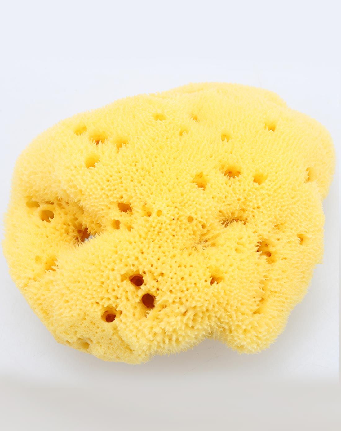 小白熊天然海洋海藻海绵(丝绸)