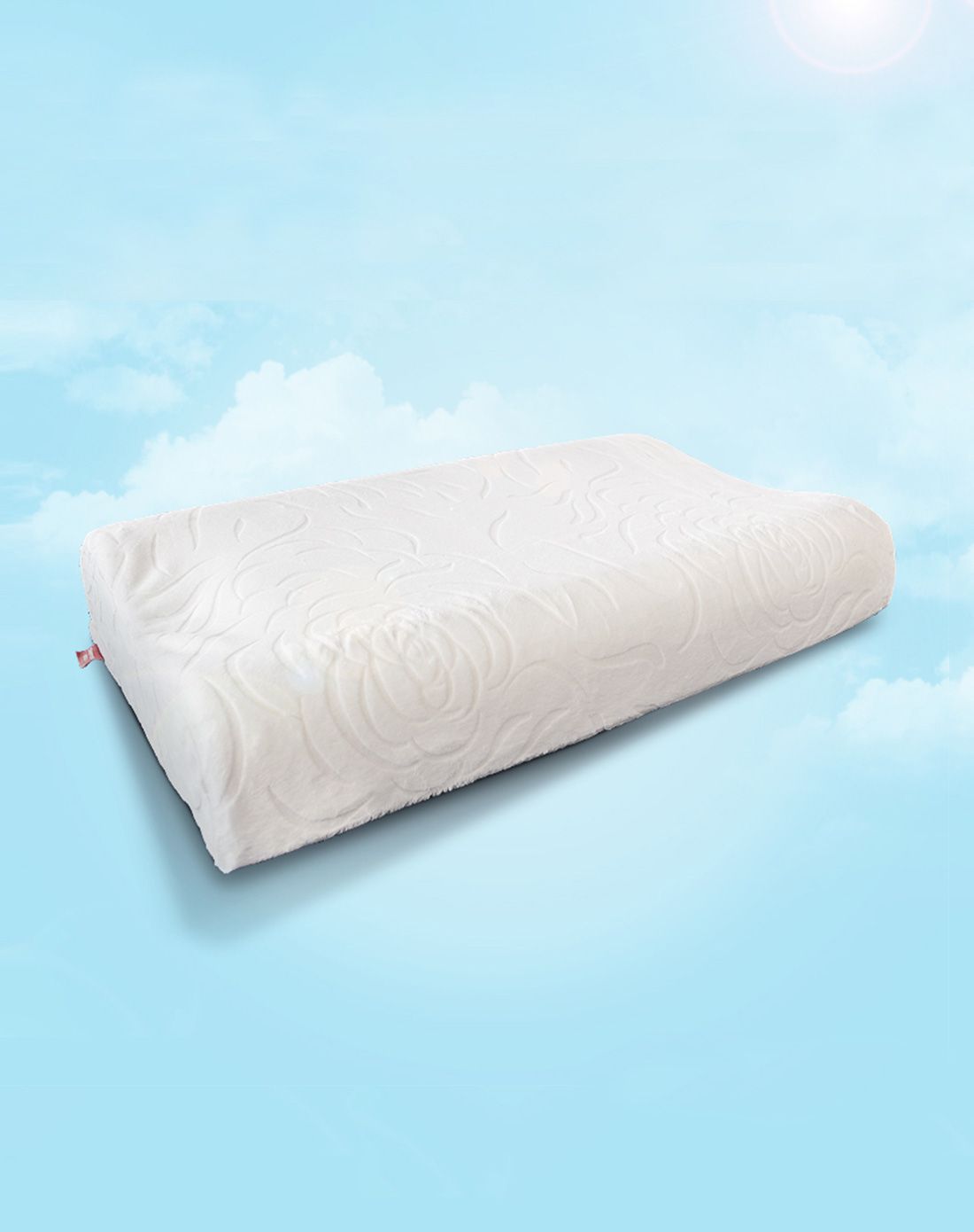 床垫 乳胶枕一对 透气乳胶椰棕硬护脊