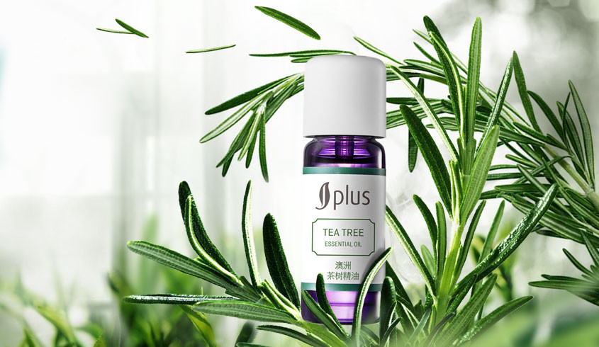 净化调理 澳洲茶树精油10ml ,疏通毛孔,保持肌肤清洁,修护痘痘肌.