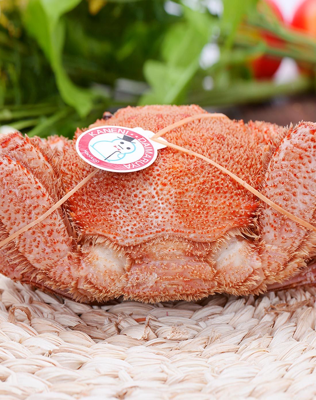 北海道红毛蟹(2只装)