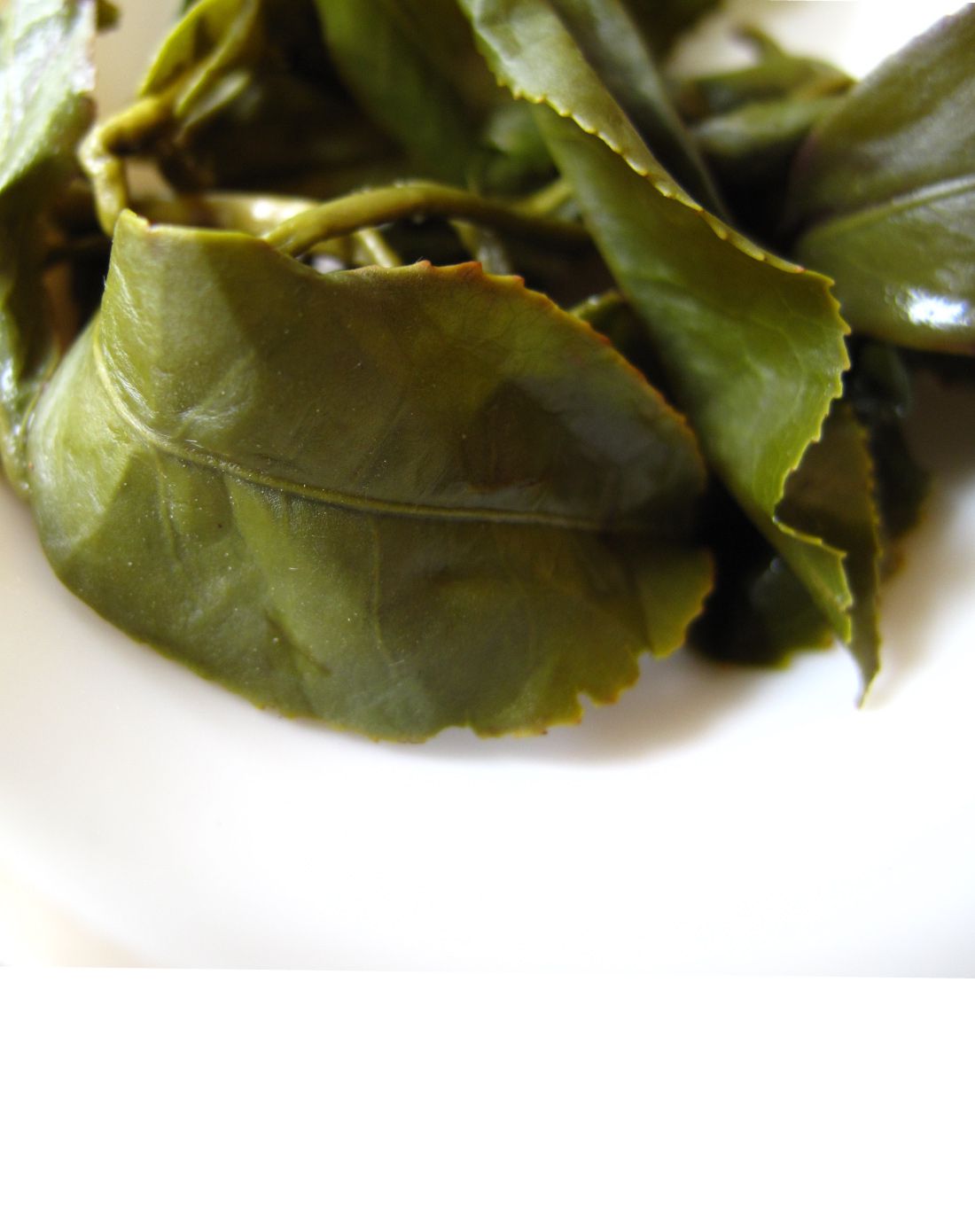 台湾茶人 阿里山手采高海拔乌龙 茶叶100g/罐