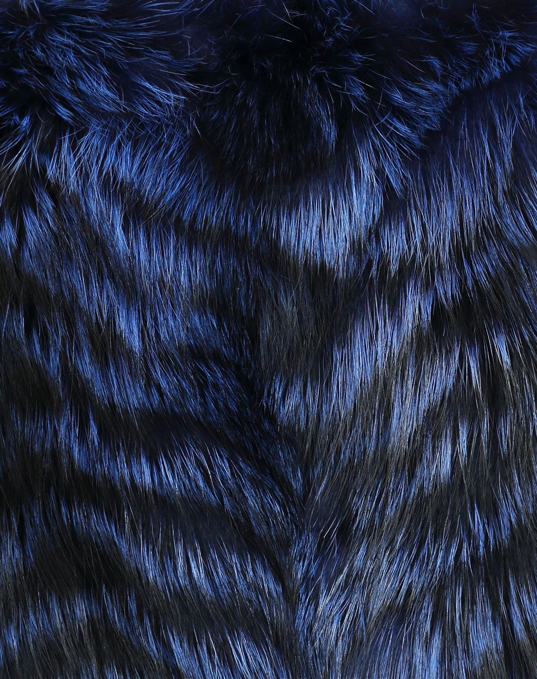 女式宝蓝色狐狸毛款时尚背心