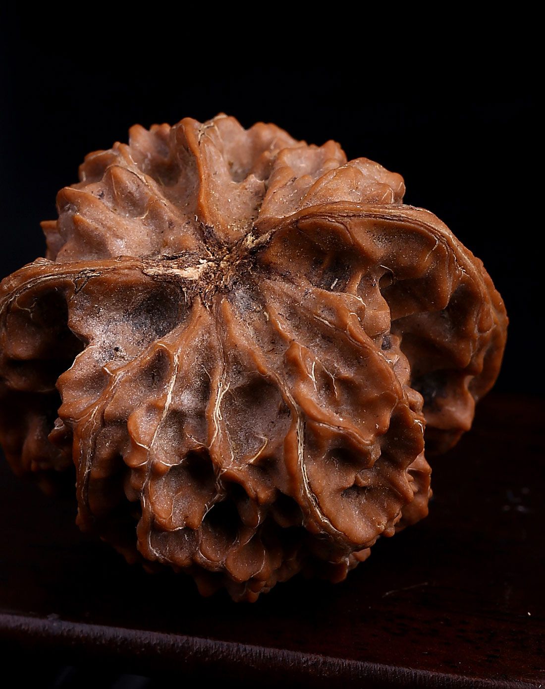 野生文玩核桃-精品楸子