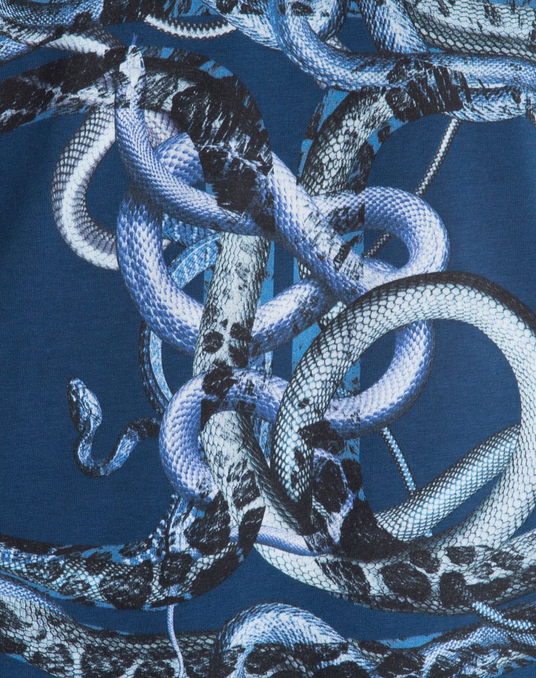 男款蓝色缠绕蛇纹印花t恤