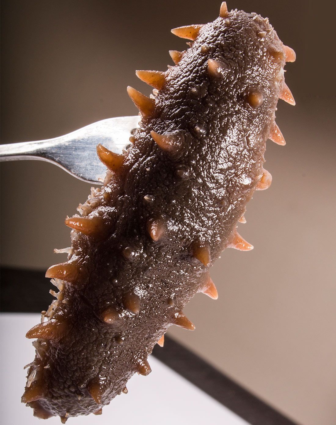 深海捕捞即食海参1000g 30-36只