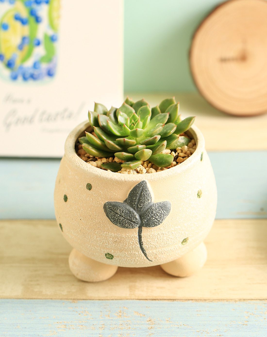 可爱手绘多肉彩陶花盆(多色可选)