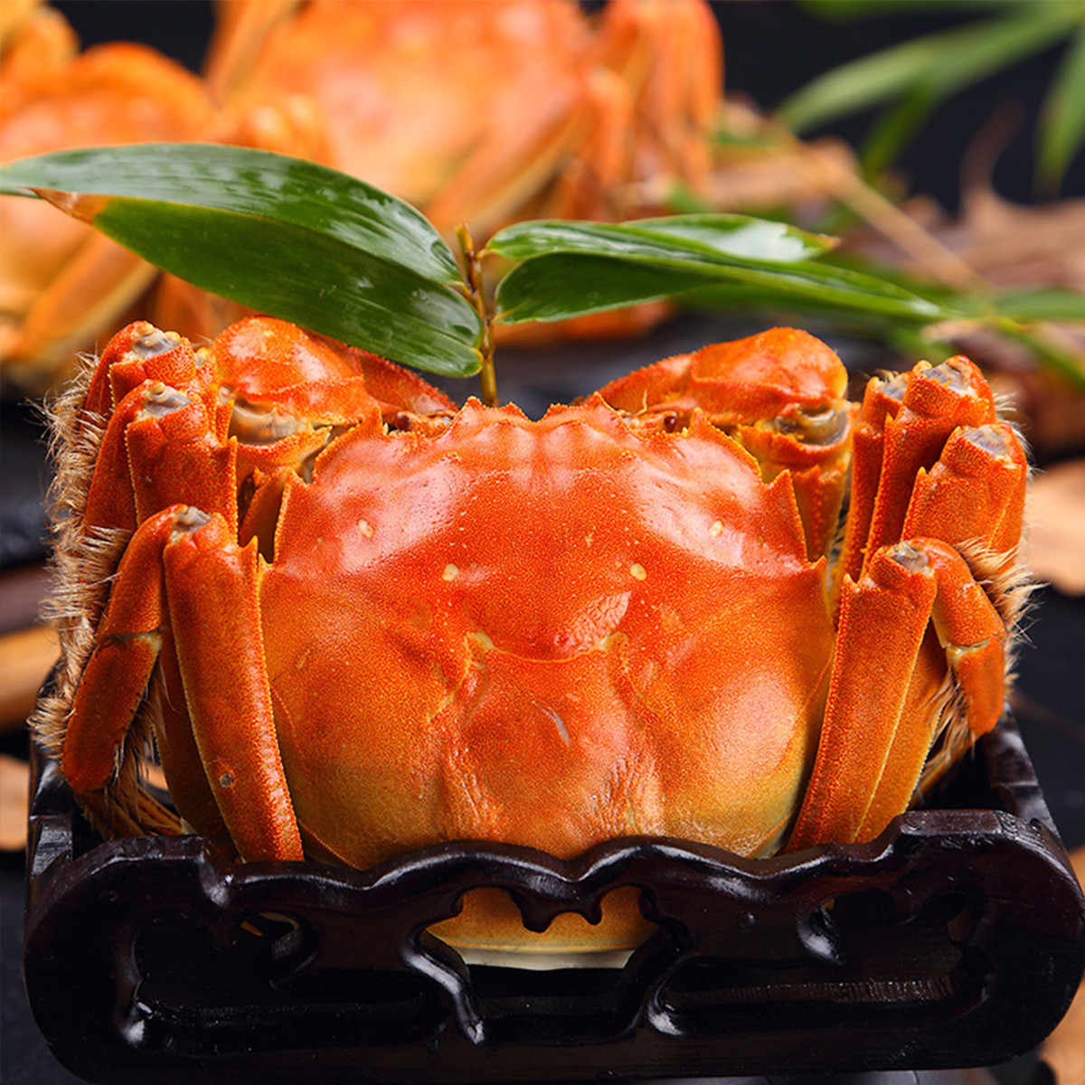 0两*4只 母蟹3.0两*4只 顺丰包邮