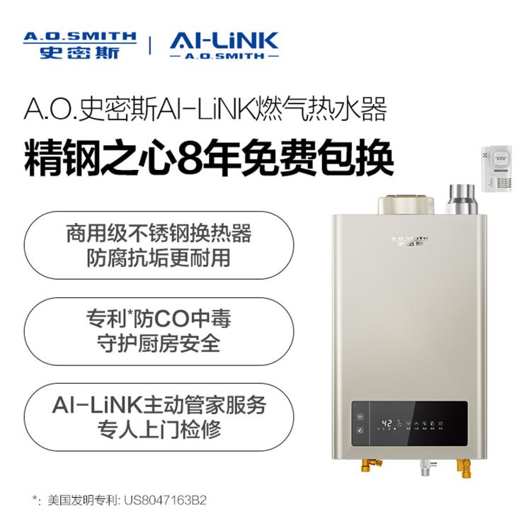 A.O.SMITH 史密斯13升/16升家用燃气热水器TM5Wi强排式恒温商用级不锈钢水箱