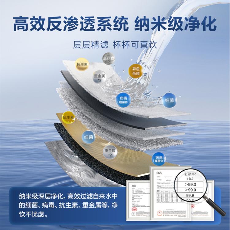 A.O.SMITH 【超级新品】史密斯双出水净水器家用直饮双水路5升/分钟超大流量