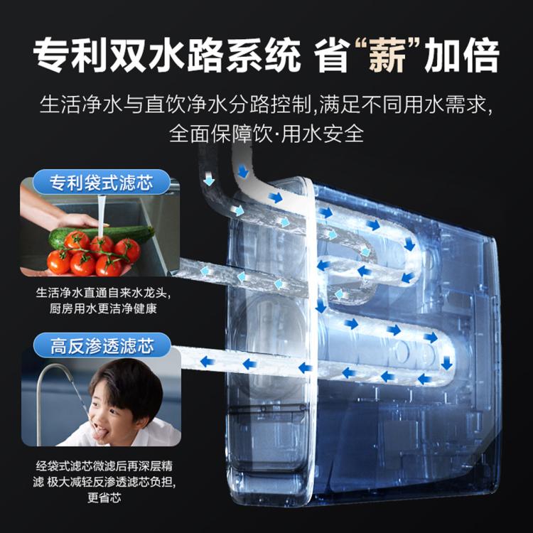 A.O.SMITH 【超级新品】史密斯双出水净水器家用直饮双水路5升/分钟超大流量