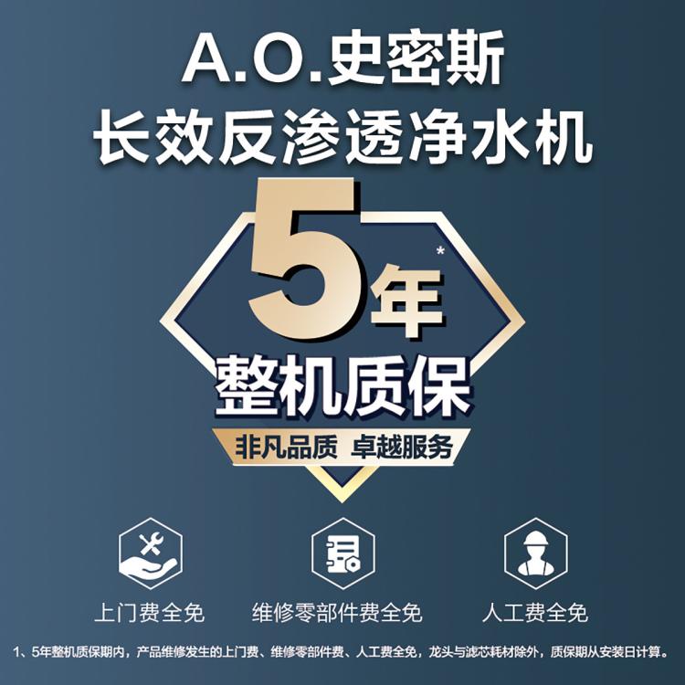 A.O.SMITH 【超级新品】史密斯双出水净水器家用直饮双水路5升/分钟超大流量