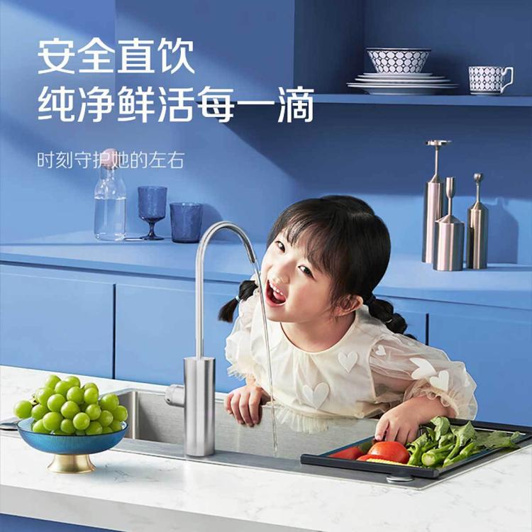 佳尼特 AO史密斯佳尼特厨下反渗透直饮净水机HE1大流量1级水效