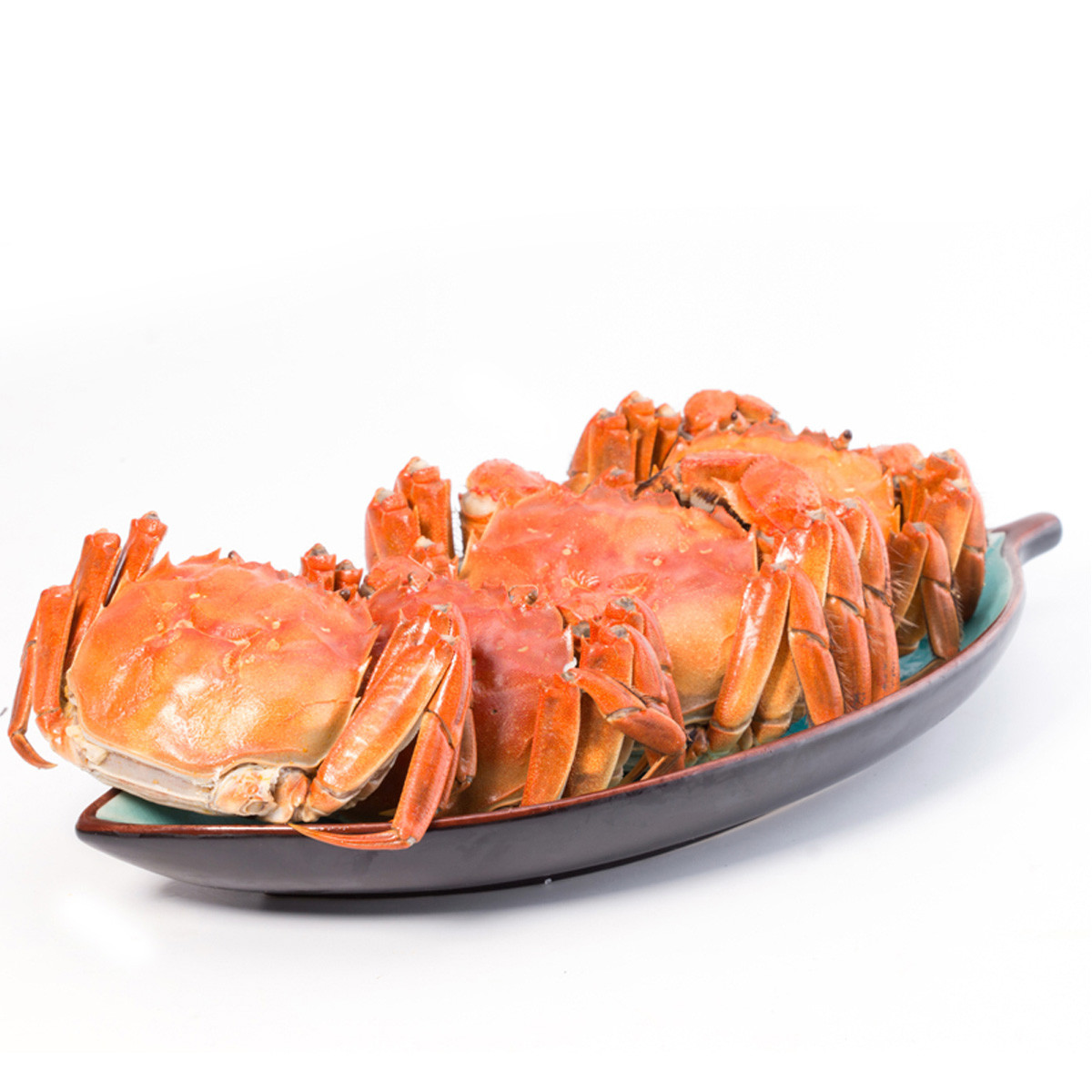 阳澄湖大闸蟹2.5两8只公母大闸蟹鲜活阳澄湖牌螃蟹