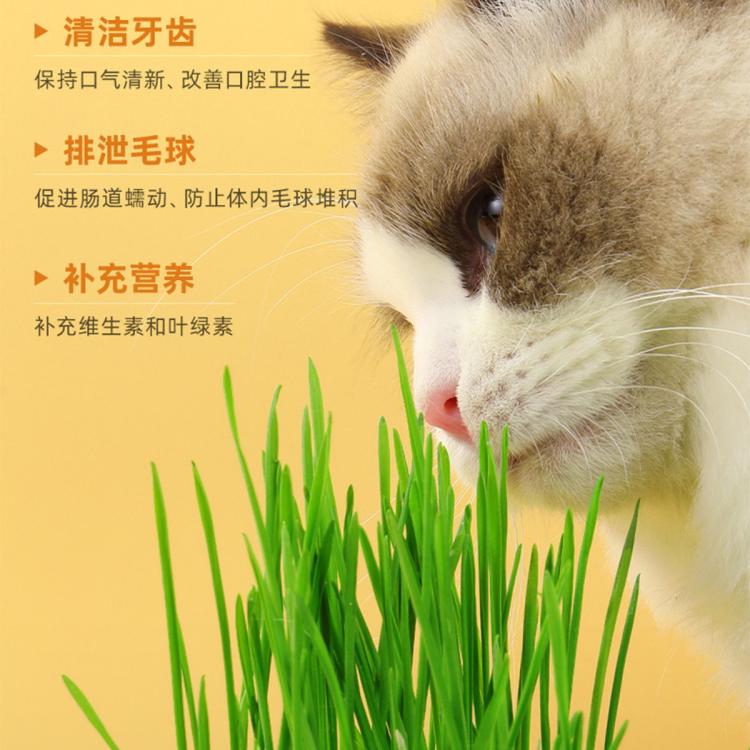 商品缩略图 6