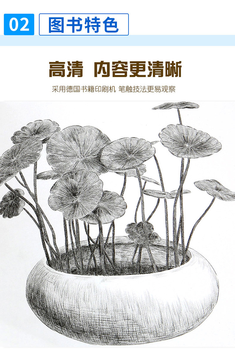 素描植物画册素描零基础入门书临摹范本速写美术绘画全教程材书籍