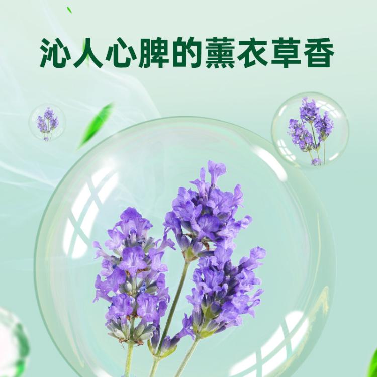 Dettol 【杀灭细菌100种】为衣物除菌设计 滴露衣物除菌液3L 除螨抗菌