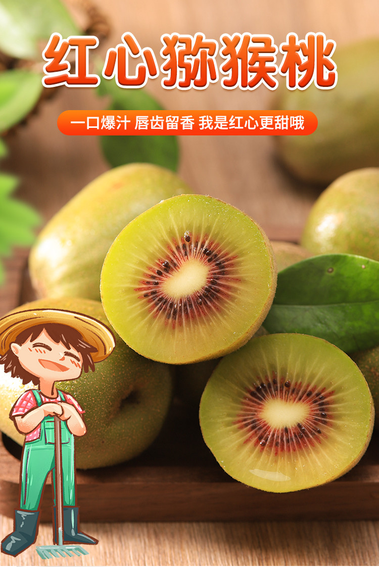 四川红心猕猴桃新鲜水果大果当季新鲜奇异果红肉猕猴桃