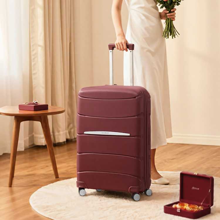 新秀丽 【轻便抗压】都市商务风大牌拉杆箱轻量夏季通勤出差旅行箱 QM4