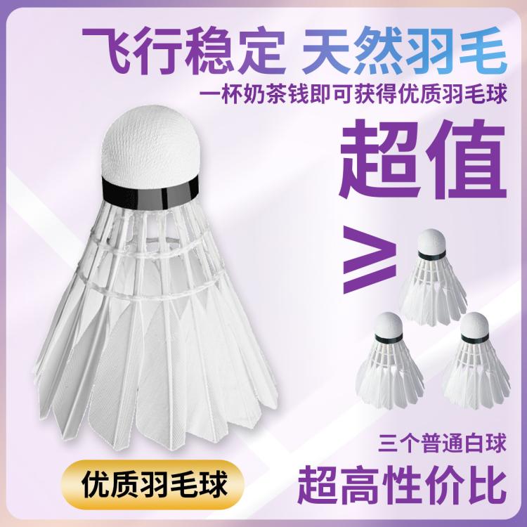 匹克 【飞行稳定】羽毛球耐打王不易打烂鸭毛室外家庭套装训练用球