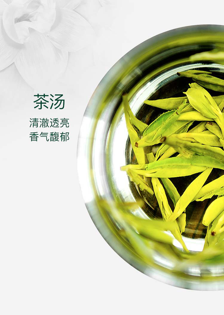 茉莉龙井一级浓香型花茶绿茶2020年新茶散装罐装100g茉莉花茶