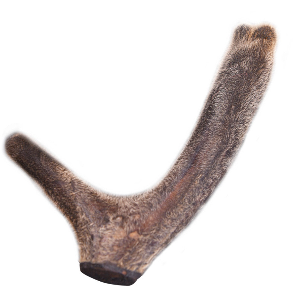 敖东 干鹿茸整枝72g头茬二杠鲜鹿茸整枝晒干可切片可泡酒煲汤可搭配肉