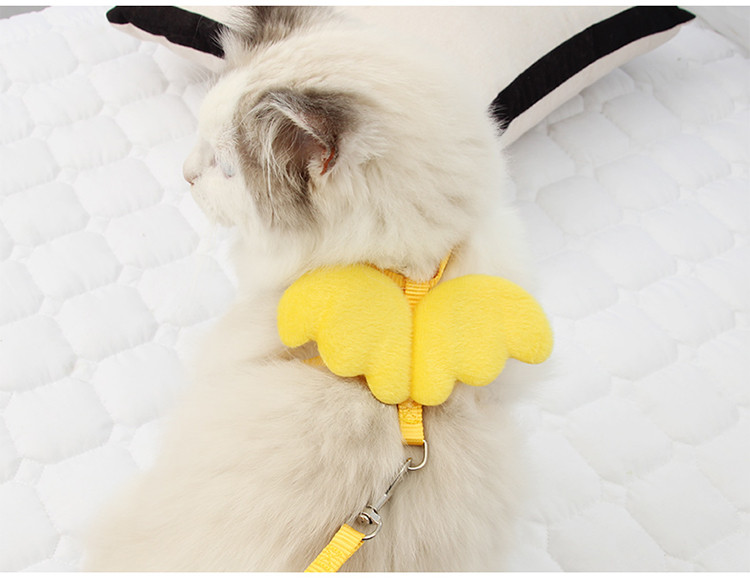 宠物猫牵引绳子 防挣脱溜猫绳背心式猫链猫牵引绳子用品