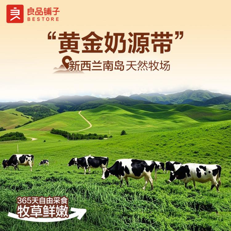 良品铺子 乳清蛋白棒整箱面包棒独立包装早餐营养代餐零食下午茶夹心吐司