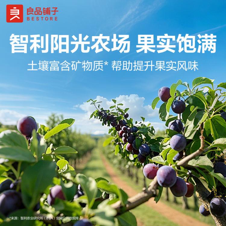 良品铺子 【约80小袋】益生元西梅蜜饯话梅西梅干梅子果干解馋小吃超500g