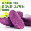 良品铺子 【配料干净】紫薯仔紫薯干100g软糯番薯干低脂早餐代餐休闲零食 图片 3