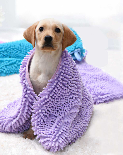 宠物速干吸水毛巾狗狗洗澡毛巾泰迪沐浴大号专用浴巾猫咪狗狗用品