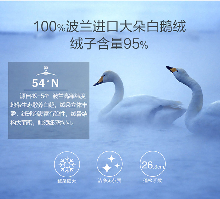 波兰鹅绒为什么好,波兰白鹅绒的特点,匈牙利鹅绒的优点_大山谷图库