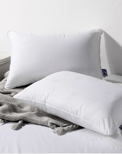 家用杜邦抗菌枕单人枕头成人枕芯护颈枕一对拍2