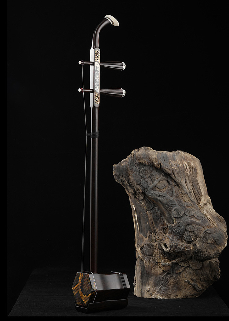 黑檀二胡乐器专业演奏考级初学者成人儿童大音量胡琴苏州