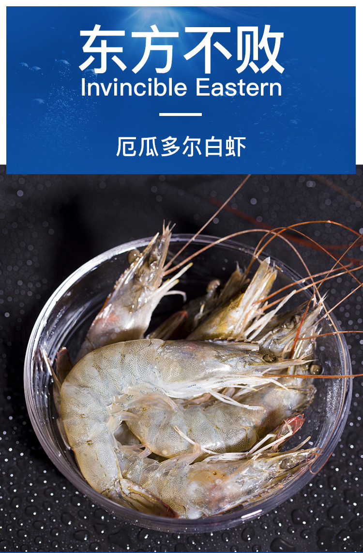 厄瓜尔多南美白对虾1.4kg 50-60 大虾青虾