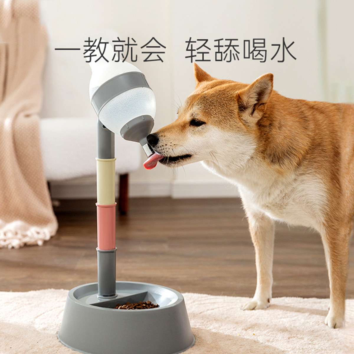 狗狗猫咪用品