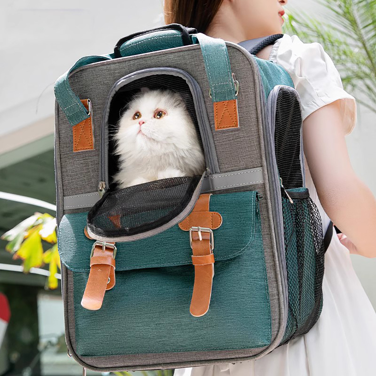 狗狗猫咪用品