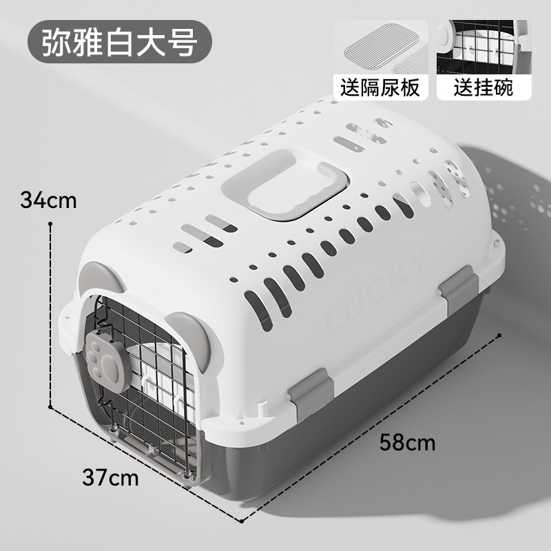 宠物猫咪用品