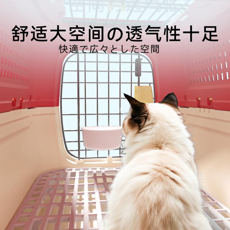 商品缩略图 4