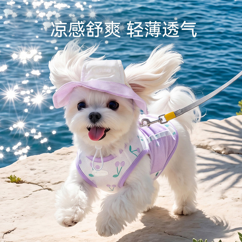 嬉皮狗 狗狗衣服撞色拼接背心带帽子泰迪比熊小型幼犬夏季降温宠物凉凉衣