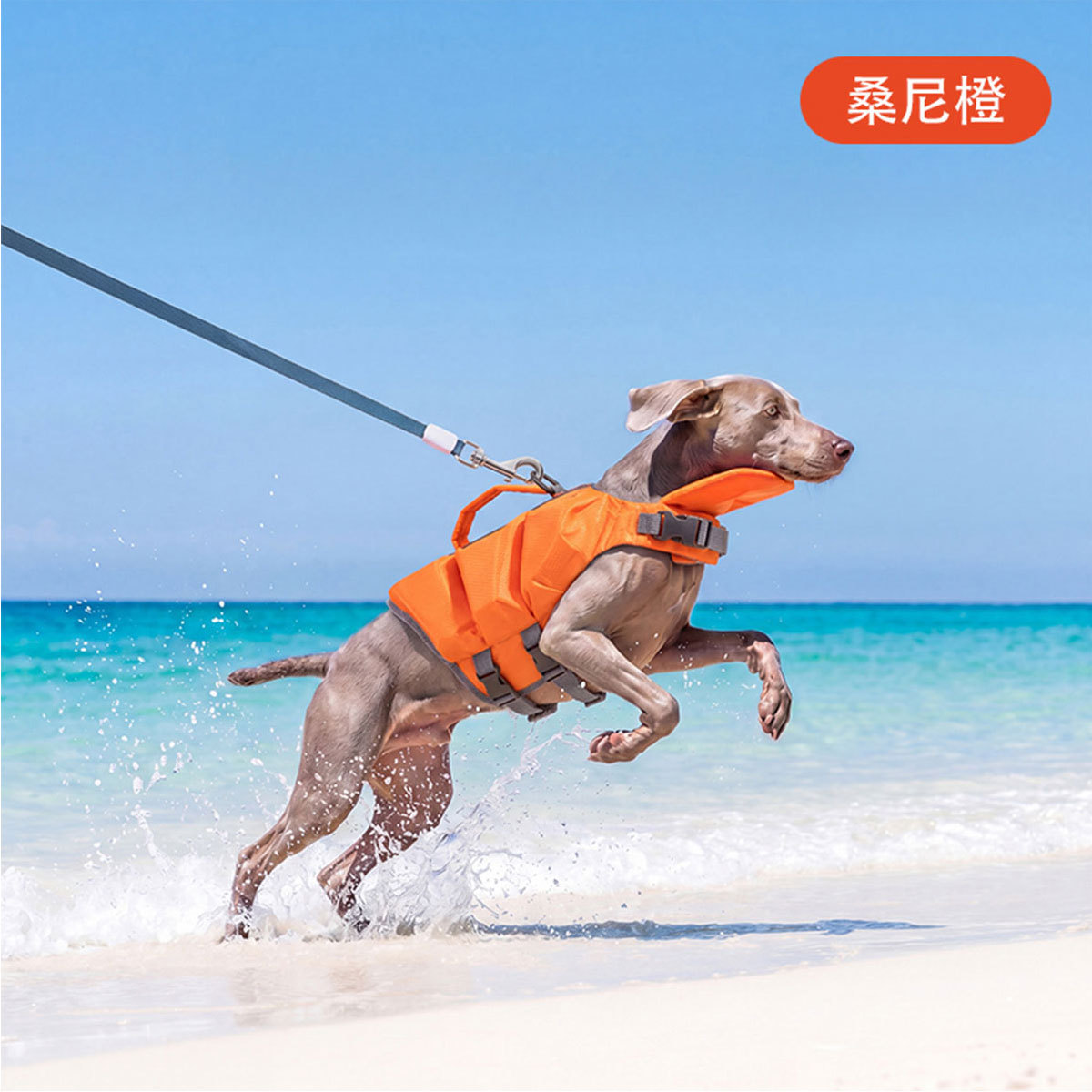 商品缩略图 1