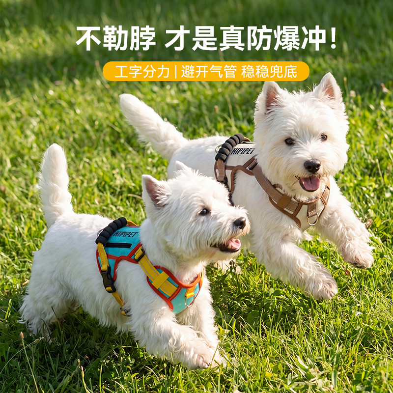 幼犬宠物用品