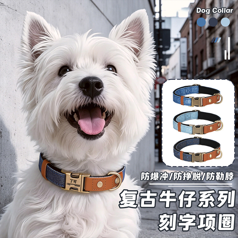 柯基外出颈圈