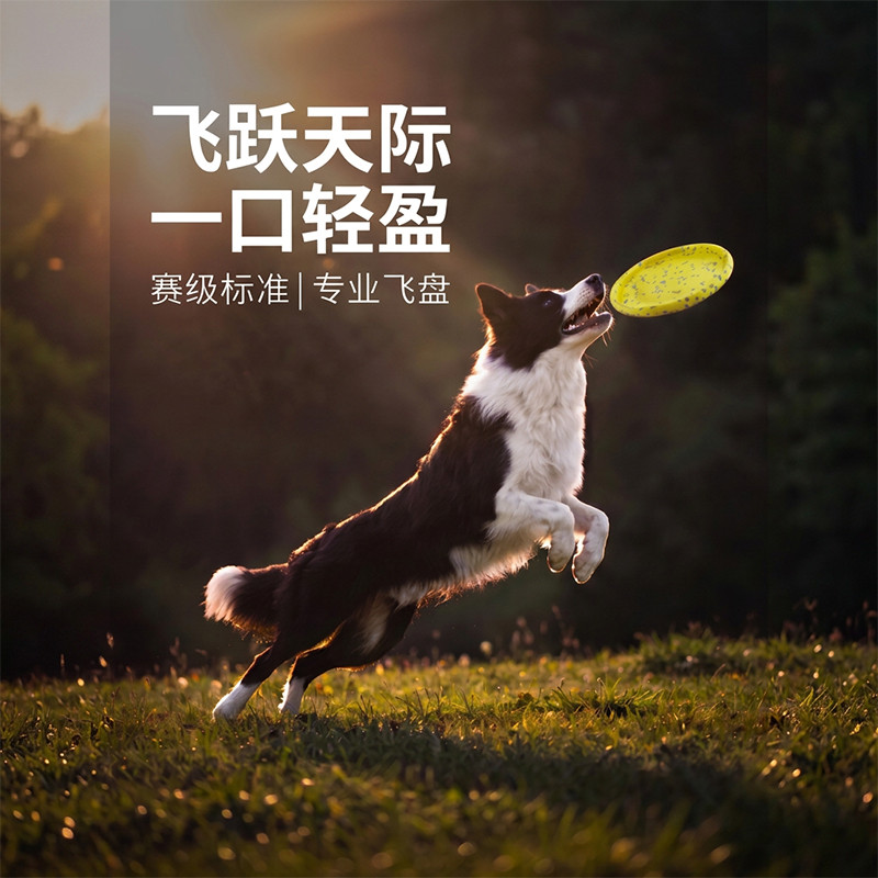 狗狗耐咬玩具