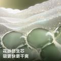 Babycare 【品牌直供 安心品质】山茶轻柔新生儿纸尿裤NB-L码3片 图片 4